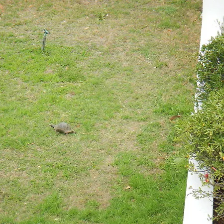 酒店 Blue Lagoon Ocean 4*