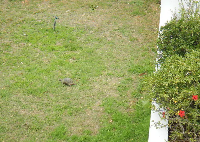 فندق Blue Lagoon Ocean 4*